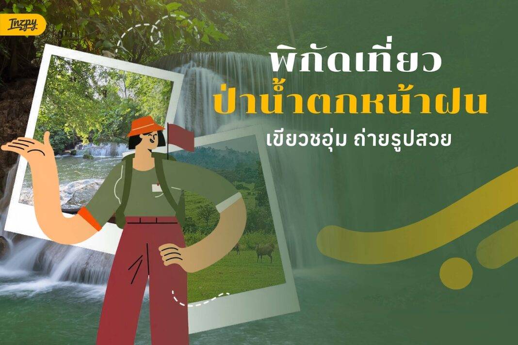 พิกัดเที่ยวป่าหน้าฝน เขียวชอุ่ม เดินทางง่าย ไม่ต้องลุยหนัก