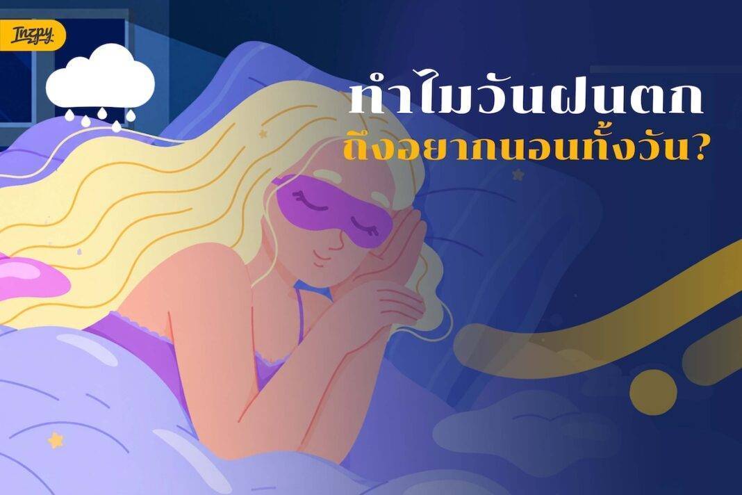 ไขข้อข้องใจ - ทำไมวันฝนตก ถึงรู้สึกอยากนอนทั้งวัน?