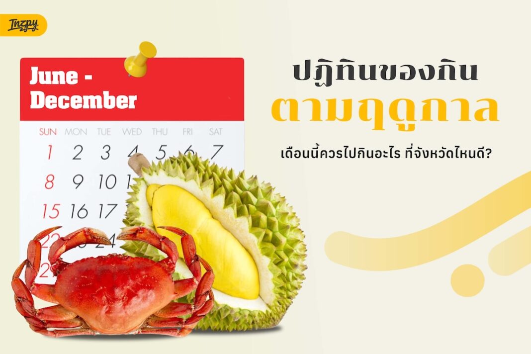 half year foodie check